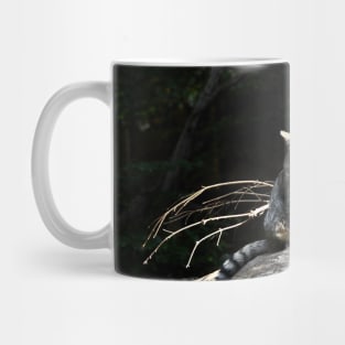 Wild cat III / Swiss Artwork Photography Mug